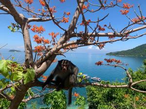 Casa Villa Hoi An - View sông lãng mạn, hồ bơi riêng