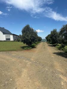 Breathtaking Kzn Midlands - The Protea Chalets