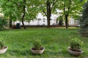 Apartment with big terrace