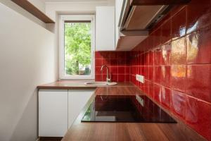 Apartment with big terrace