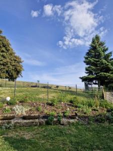 Ferienhaus Alpakahof Goslar