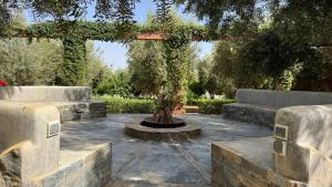 Dar Tidyan Guest House - Ourika Valley