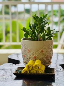 Homestay Yellow Natural House