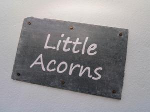 Little Acorns