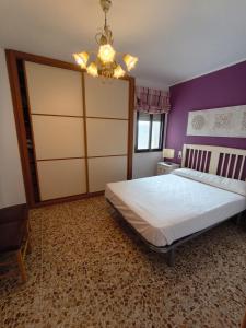 Albatros Orangecosta