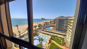 Albatros Orangecosta