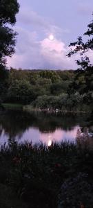 Rügen FeWo-Lohme auf Jasmund