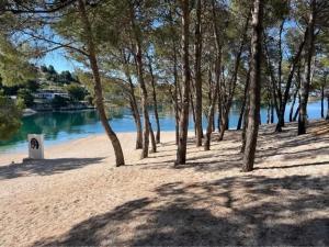 Mobile homes Laguna, beach Porat, Drage