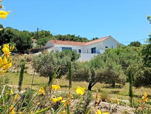 Villa Katerina Kefalonia