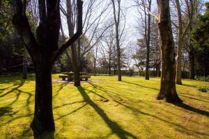 Liiiving in Ofir | Manor Pool House