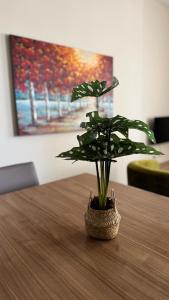 Solemar Apartments Lalzi Bay