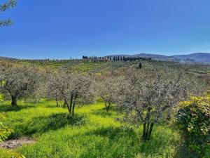 La Corte di Muciafora