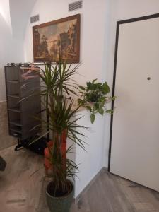 20 rue longue