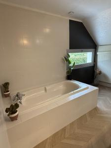 Villas Le Loft Corail : photos des chambres