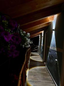 Velaj Guest House