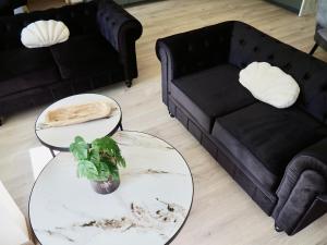 Appartements Appart T4 neuf a 5 min du centre : photos des chambres