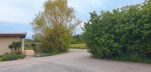 Maisons de vacances Gite les Syrphes : photos des chambres