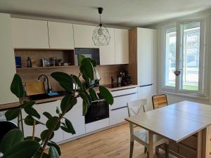 Appartements Appartement cozy au coeur d- Annecy : photos des chambres