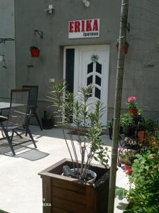 Erika Apartman