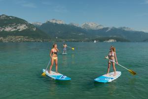 Chalets Chalet Friwi : photos des chambres