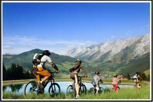 Chalets Chalet Friwi : photos des chambres