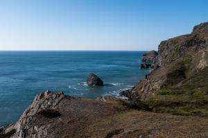 Trevigue