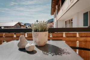 Landhaus Mucha - Ferienwohnungen