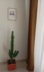 Appartements Amazing brand new 50 sqm flat - 5min from gondolas : photos des chambres