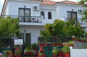 Nancy Lesvos Greece