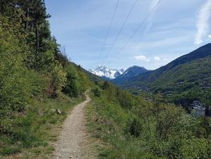 Appartements Amazing brand new 50 sqm flat - 5min from gondolas : Appartement 1 Chambre