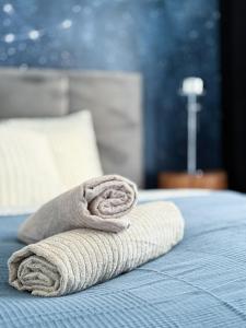 Księcia Witolda apart river and lift