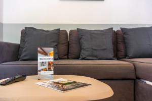 Appartements Le Plaisant d-Haussonville - Joli T2 Nancy : Appartement 1 Chambre