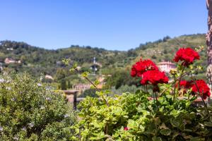 SUITE ELEVEN ISOLA DELBA