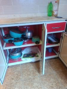 Marselia Beach 1 Camellia