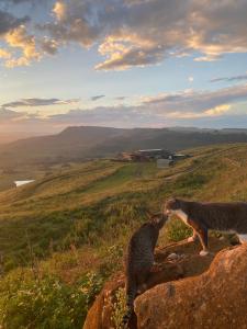 Rose Mountain Cottage