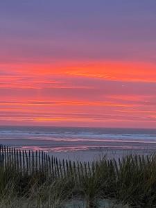 Appartements Bel appartement cosy a 80m de la plage : photos des chambres