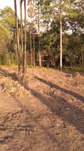 Lake side Caravan site - 1500 square meters of nature & private fishing