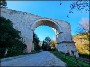 Narnia e la Rocca di Albornoz