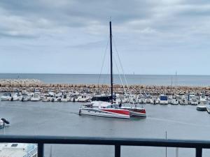 Studio Vue magique pleine mer, port, cap Béar, Racou, Climatisé