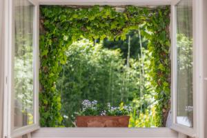 Maisons de vacances Gite du Rouard : photos des chambres
