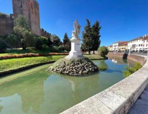 5star Apartment in the center with Garage