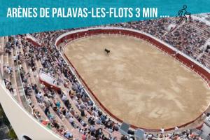 Appartements Studio GIGI 50 m mer climatisation plein centre : photos des chambres