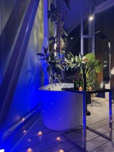 Hightech deluxe master suite and pool access