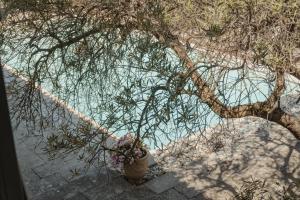 Hotels Hotel Les Magnanarelles : photos des chambres