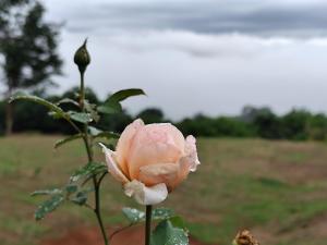 มองดูเลย โฮมสเตย์ ไฮตาก