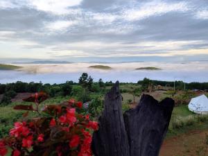 มองดูเลย โฮมสเตย์ ไฮตาก