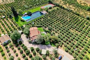 Orange Grove Villa