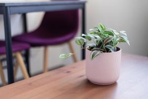 Studio Victor 102 - Petit cocon bien situé