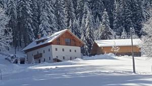 Silentium Dolomites Chalet