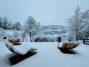 Silentium Dolomites Chalet